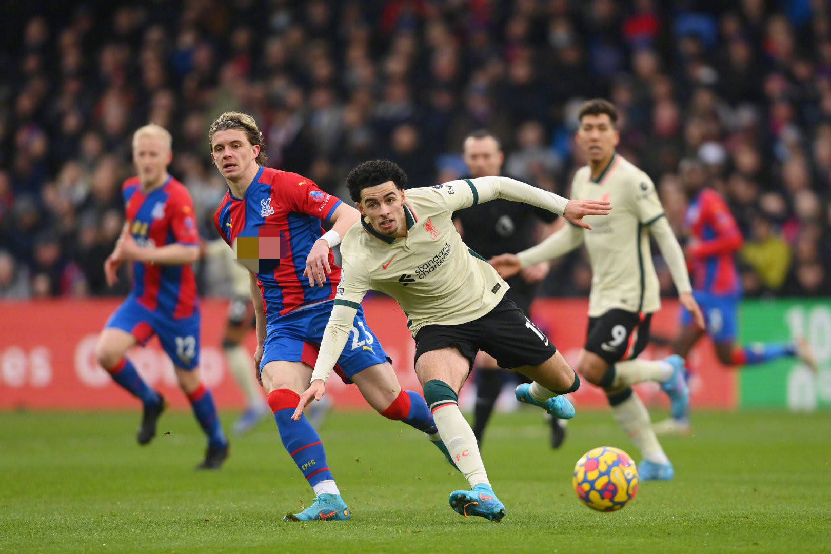 的实力和不 的实力和不